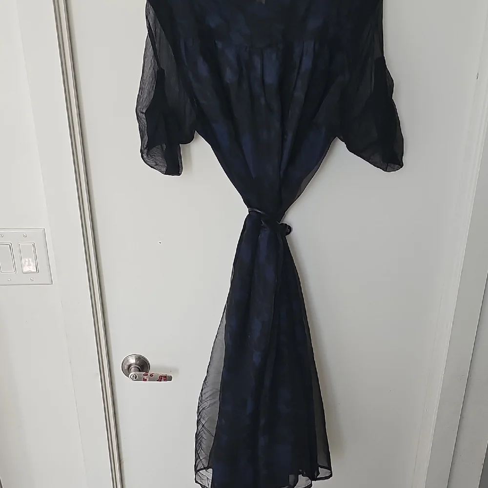 Sheer Black and Blue Lace Chiffon Dress - Picture 5 of 8